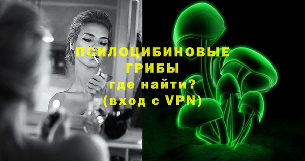 ГАЛЛЮЦИНОГЕННЫЕ ГРИБЫ Балабаново