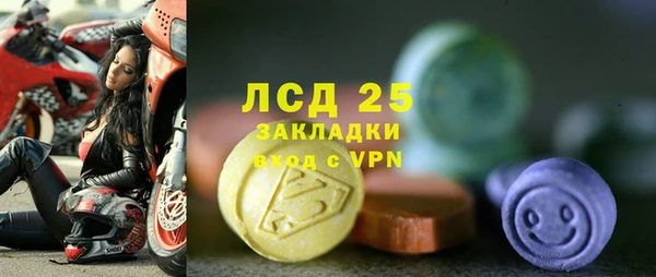 ГАЛЛЮЦИНОГЕННЫЕ ГРИБЫ Балабаново