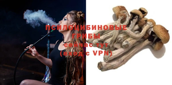ГАЛЛЮЦИНОГЕННЫЕ ГРИБЫ Балабаново