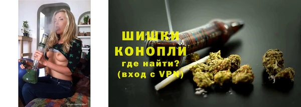 spice Покачи