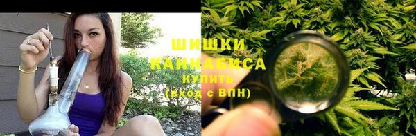 ГАЛЛЮЦИНОГЕННЫЕ ГРИБЫ Балабаново